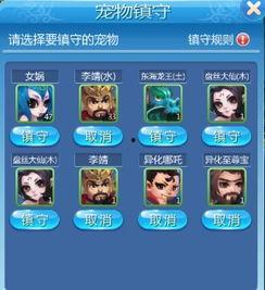 宠物大爆料视频,揭秘萌宠背后的趣味故事